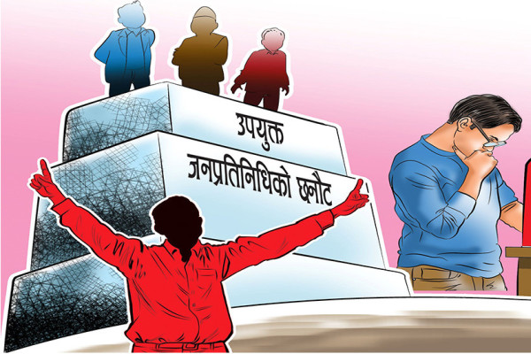 संघीय सांसदको उपायदेयता र विरोधाभास